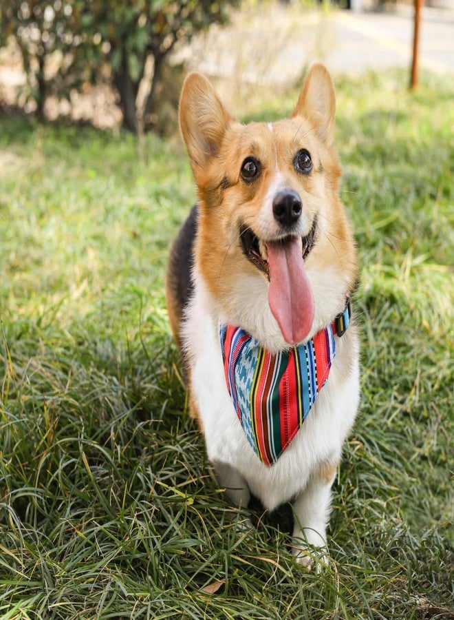 أم-بيتس طوق باندانا للكلاب من إم-بيتس، بتصميم عصري أنيق، قابل للتعديل، صديق للبيئة، مريح، مزود بإبزيم قوي، متين، سهل التنظيف، مصنوع من البوليستر، مقاس الرقبة 30-50 سم، متوسط - Image 3